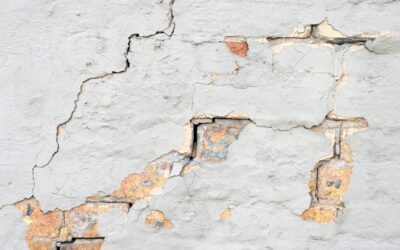 Identifying Damp In Your Property