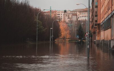 Flood Reinstatement Insurance Claim