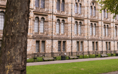 Heritage Buildings & Listed Buildings: Challenges and Solutions